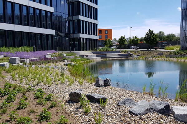 Quartier Brunsheide, Leopoldshöhe 2024 – 2030