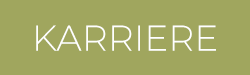 Karriere